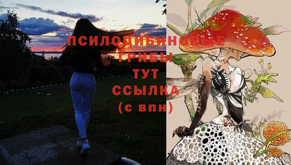 СК Абдулино