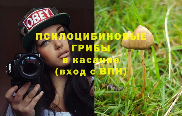 Альфа ПВП Осташков