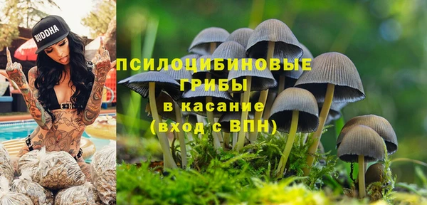 соль курить ск Осинники