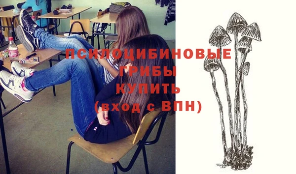 соль курить ск Осинники