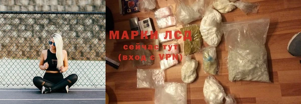 хмурый Абаза