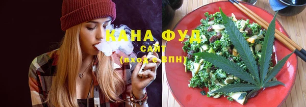 хмурый Абаза