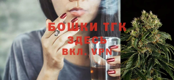 хмурый Абаза