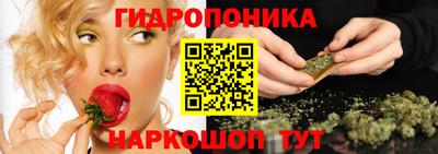прущие крисы Гатчина